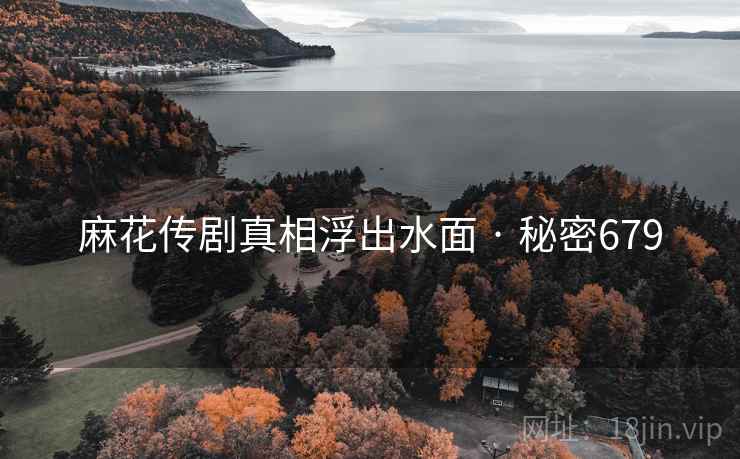 麻花传剧真相浮出水面 · 秘密679