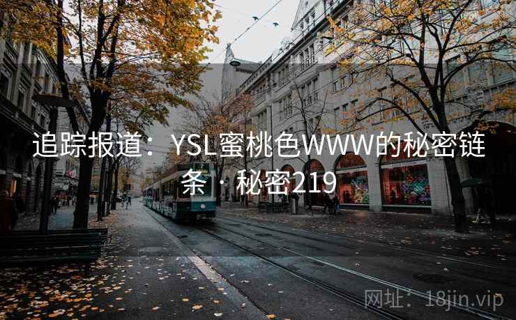 追踪报道：YSL蜜桃色WWW的秘密链条 · 秘密219