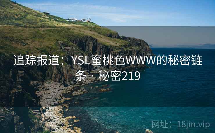 追踪报道：YSL蜜桃色WWW的秘密链条 · 秘密219