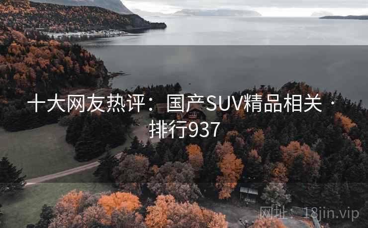 十大网友热评：国产SUV精品相关 · 排行937